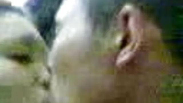 Gorące porno bez rejestracji Niemieckie erotyczne zdjęcia dziewczyn МИЛФ duże cycki cycki