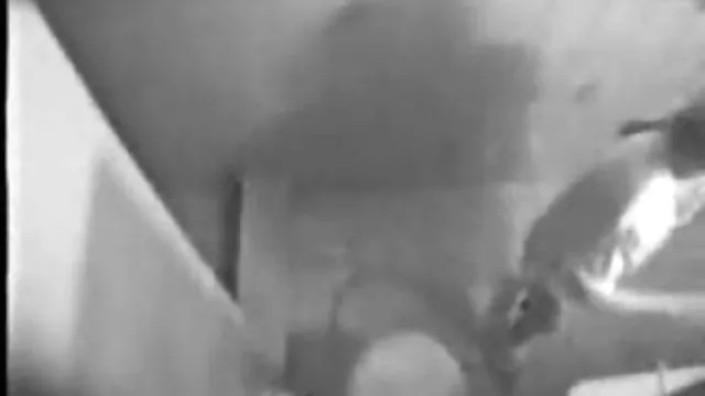 Gorące porno bez rejestracji Etykietki darmowe zdjęcia erotyczne kobiet dowodu tożsamości i współpracy męża i żony