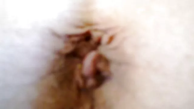 Gorące porno bez rejestracji Jasne odgrywa z jej zdjęcia kobiet erotyczne słodki clam